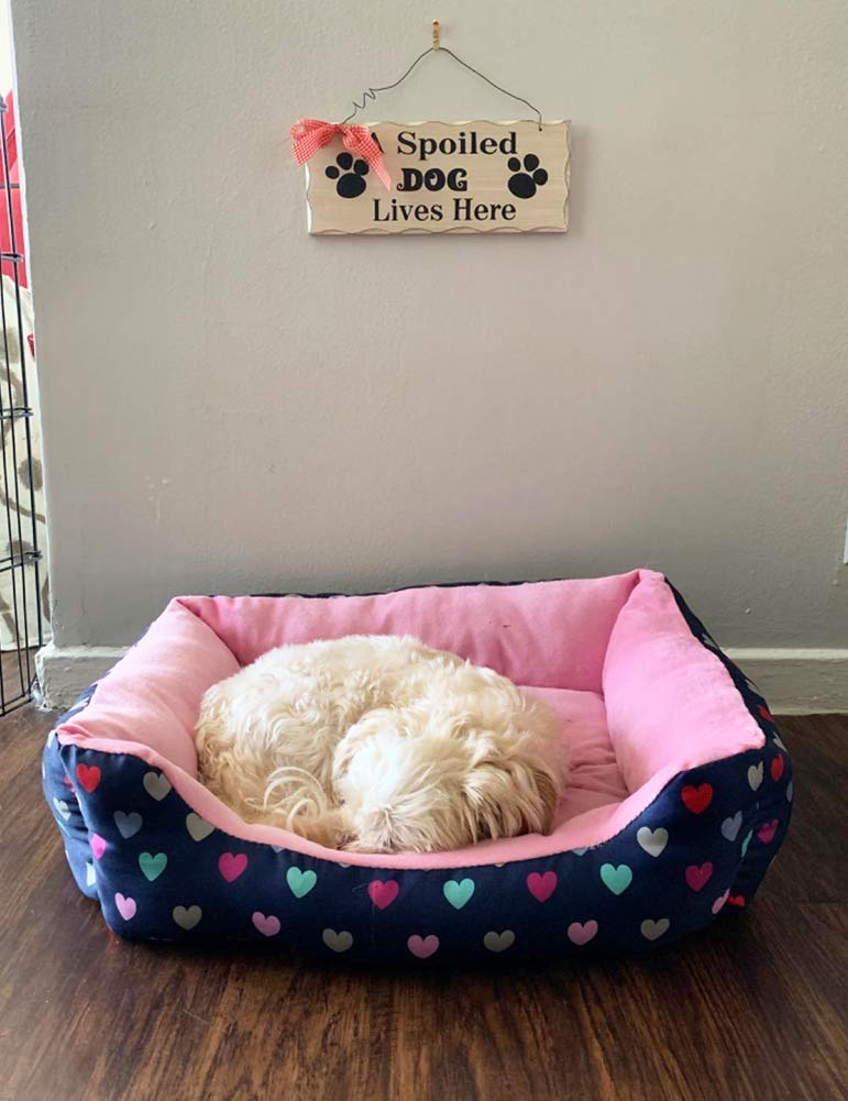 Attraction Design Wood Dog Lover Sign - Hanging Pet Decor Plaque With Saying 'A Spoiled Dog Lives Here' - Decorative Wall Art Puppy Gift 4x10in - Image 5